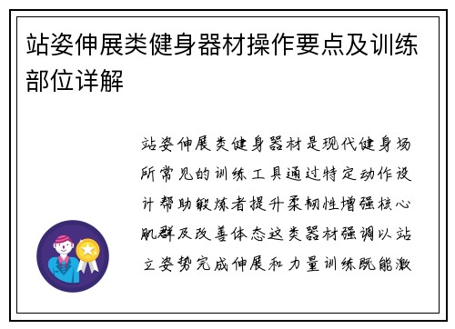 站姿伸展类健身器材操作要点及训练部位详解