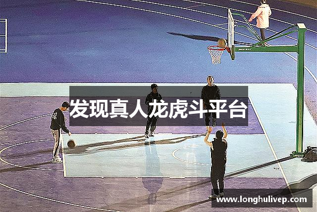 发现真人龙虎斗平台